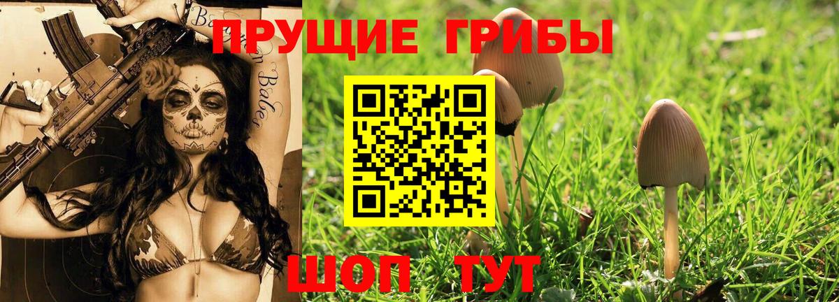 Галлюциногенные грибы Magic Shrooms Добрянка